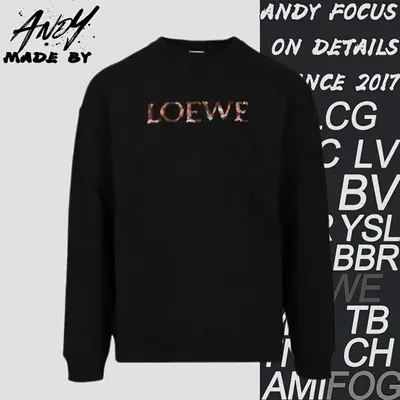 💰(280CNY)Gradient letter embroidered crew neck sweatshirt Item ID:10008760