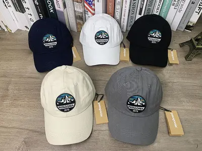 ￥65 PATAGONIA HAT 160411