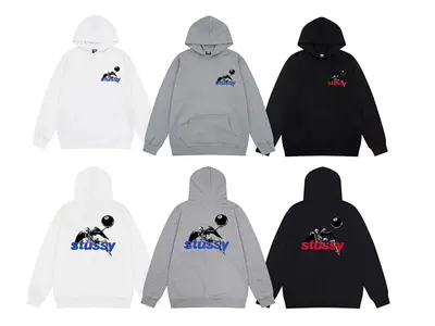 ￥168 STUSSY HOODIE 261164