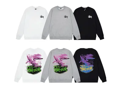 ￥148 STUSSY HOODIE 261569