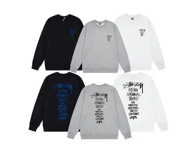 ￥148 STUSSY HOODIE 261573