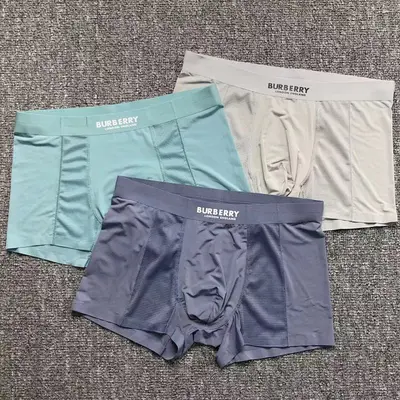 ￥85 B⭐R⭐E⭐RY UNDERWEAR 272811