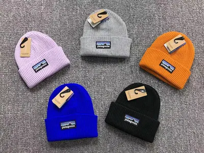 ￥58 PATAGONIA HAT 19021066