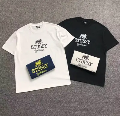 ￥85 STUSSY T-SHIRT 29261731