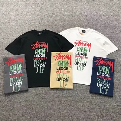 ￥78 STUSSY T-SHIRT 311024202