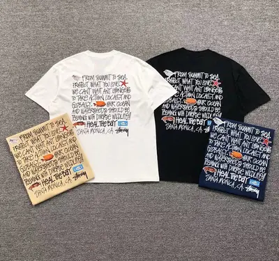 ￥78 STUSSY T-SHIRT 311026102