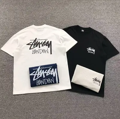 ¥85 STUSSY T-SHIRT 311120231