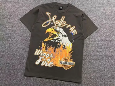 ￥118 HELLSTAR T-SHIRT 111220372