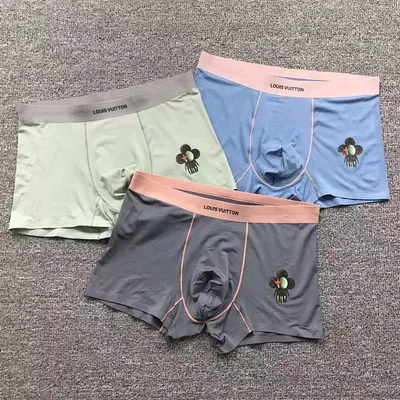 ￥89 L⭐ UNDERWEAR 212301018
