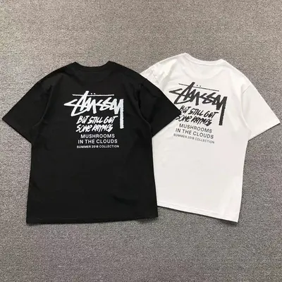 ￥78 STUSSY T-SHIRT 503031282（im 170cm 55kg i wear size M in the phot）