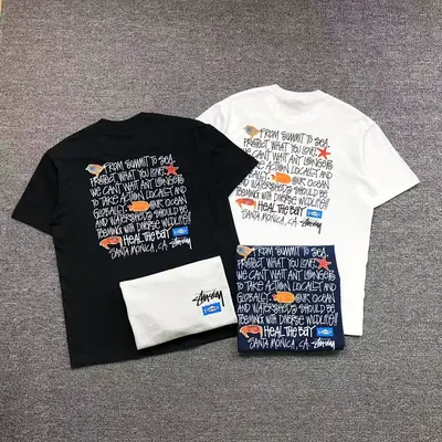 ￥85 STUSSY T-SHIRT 3104110631（im 170cm 60kg i wear size L in the phot）