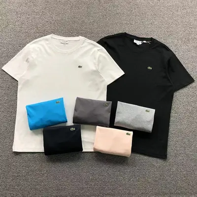 ¥115 LACOSTE T-SHIRT 504120304(im 170cm 60kg i wear size L in the phot)