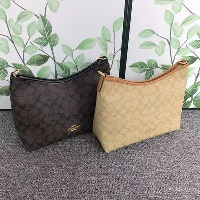 ￥215 C⭐A⭐H BAG 4104210275 ( 长29CM*宽13CM*25CM)