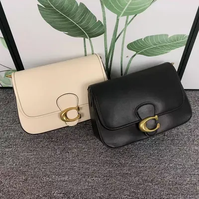 ￥318 C⭐A⭐H BAG 4104210375 ( 长26CM*宽9CM*15CM)