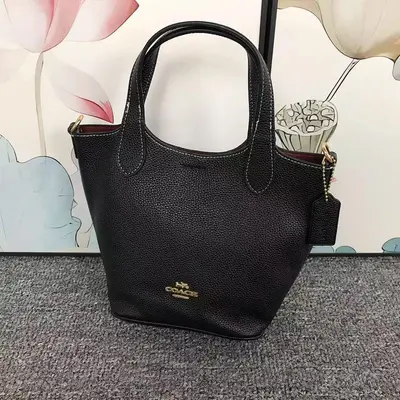 ￥208 C⭐A⭐H BAG 4105052075 ( 长26CM*宽12CM*20CM)