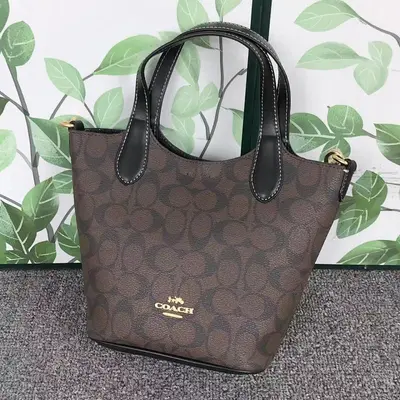 ￥208 C⭐A⭐H BAG 4105051975 ( 长26CM*宽12CM*20CM)