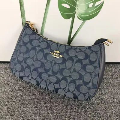 ¥178 C⭐A⭐H BAG 4105201375 ( 长24CM*宽7CM*高14CM)