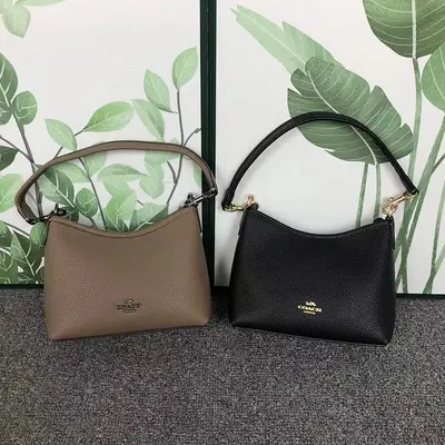 ¥195 C⭐A⭐H BAG 4105200275 ( 长23CM*宽7CM*高16CM)