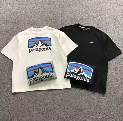 ￥88 PATAGONIA T-SHIRT 41061208120（im 170cm 60kg i wear size M in the phot）
