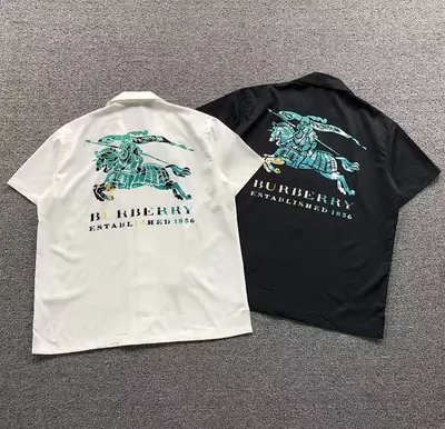 ￥98 B⭐R⭐E⭐RY SHIRT 1106134939（im 170cm 60kg i wear size L in the phot）