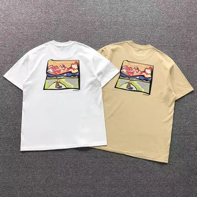 ￥78 PATAGONIA T-SHIRT 3106132002（im 170cm 60kg i wear size M in the phot）