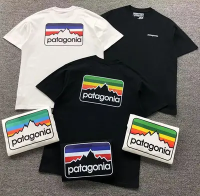 ￥78 PATAGONIA T-SHIRT 3106131402（im 170cm 60kg i wear size M in the phot）