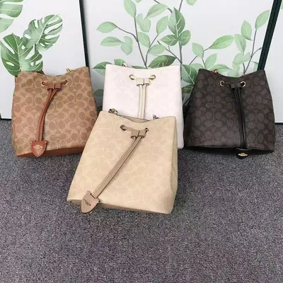 ¥228 C⭐A⭐H BAG 4108058875 ( 长23CM*宽14CM*高22CM)