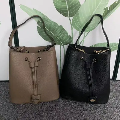 ¥238 C⭐A⭐H BAG 4108050175 ( 长23CM*宽14CM*高22CM)