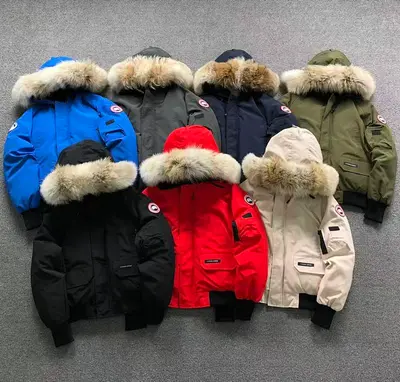 ¥498 C⭐N⭐⭐A G⭐⭐⭐E DOWN JACKETS FEMAIE STYIE 1109100215