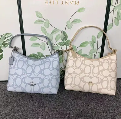 ¥208 C⭐A⭐H BAG 4109118875 ( 长29CM*宽8CM*高20CM)