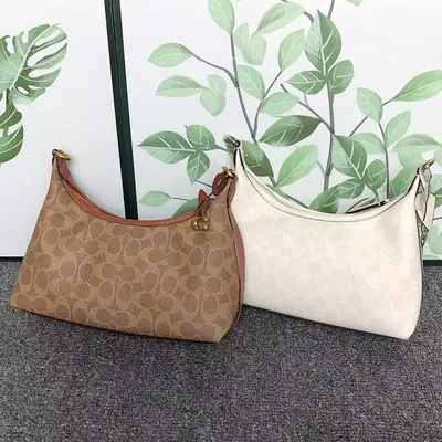 ￥218 C⭐A⭐H BAG 4109170175 ( 长26CM*宽6CM*高14CM)