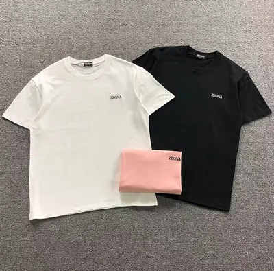 ￥85 ERMENEGILDO ZEGNA T-SHIRT 219222501（im 170cm 60kg i wear size M in the phot）