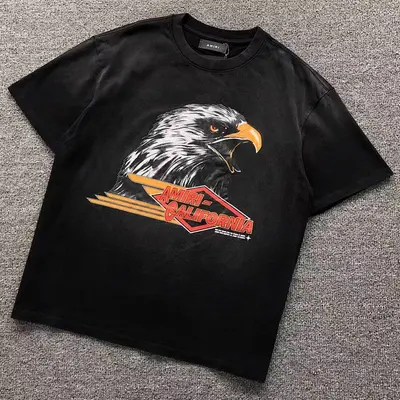 ￥108 AMIRI T-SHIRT 3110200717（im 170cm 60kg i wear size S in the phot）