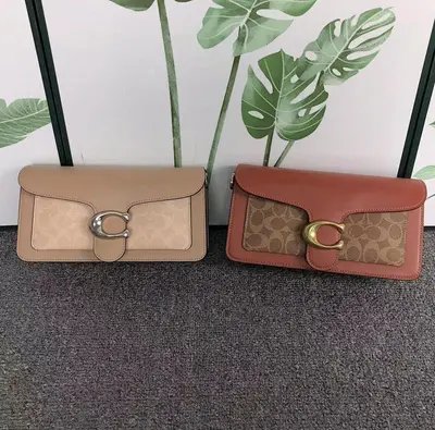 ￥288 C⭐A⭐H BAG 4111150675 ( 长26CM*宽7CM*13CM)