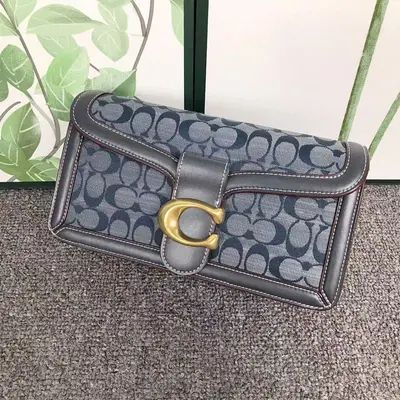 ￥288 C⭐A⭐H BAG 4111150575 ( 长26CM*宽7CM*13CM)