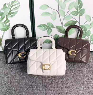 ￥218 C⭐A⭐H BAG 4111150375 ( 长17CM*宽8CM*12CM)