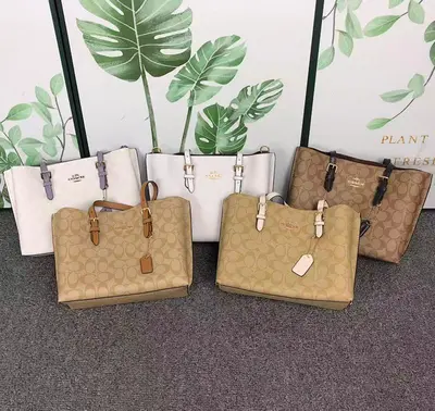 ￥228 C⭐A⭐H BAG 4111150175 ( 长27CM*宽10CM*19CM)