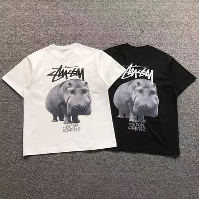 ￥78 STUSSY T-SHIRT 511274782（im 170cm 60kg i wear size S in the phot）