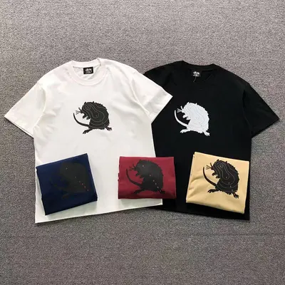 ￥78 STUSSY T-SHIRT 412051502（im 170cm 60kg i wear size M in the phot）