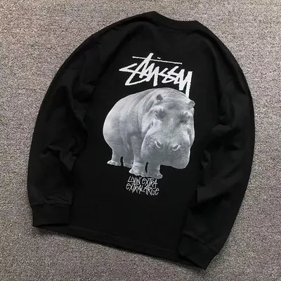 ¥88 STUSSY LONG SLEEVED 412062498(im 170cm 60kg i wear size XL in the phot)