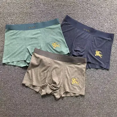 ￥88 B⭐R⭐E⭐RY UNDERWEAR 2112114118