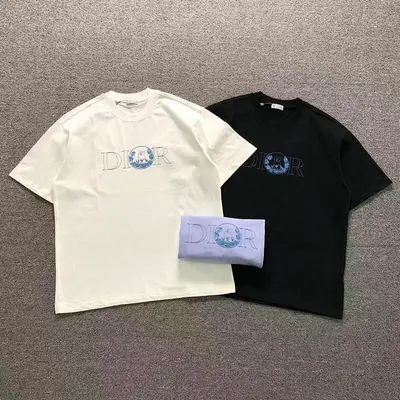 ￥118 D⭐O⭐ T-SHIRT 3112312121（im 170cm 60kg i wear size M in the phot）