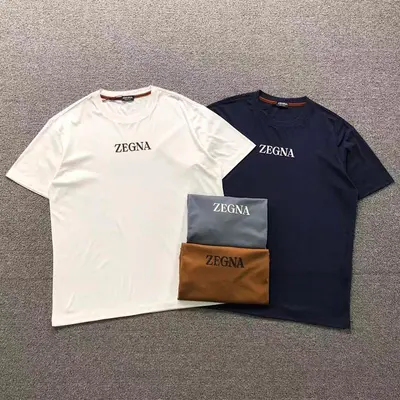 ￥175 ERMENEGILDO ZEGNA T-SHIRT 2203041301（im 170cm 60kg i wear size 2XL in the phot）