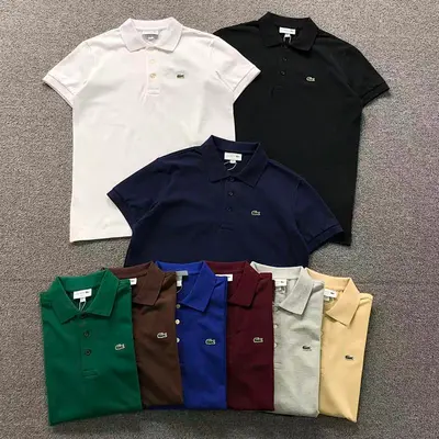 ￥118 LACOSTE POLO 2203050809（im 170cm 60kg i wear size S in the phot）