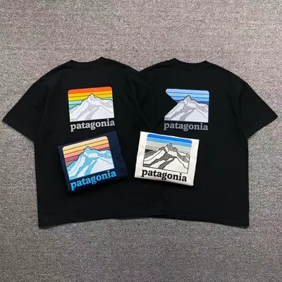 ￥78 PATAGONIA T-SHIRT 123102202（im 170cm 60kg i wear size M in the phot）