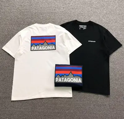 ￥78 PATAGONIA T-SHIRT 123102002（im 170cm 60kg i wear size M in the phot）