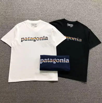 ￥78 PATAGONIA T-SHIRT 123101902（im 170cm 60kg i wear size M in the phot）