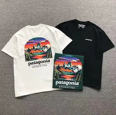 ￥78 PATAGONIA T-SHIRT 123100702（im 170cm 60kg i wear size M in the phot）