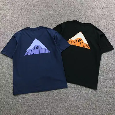 ￥78 PATAGONIA T-SHIRT 123100602（ im 170cm 60kg i wear size M in the phot）