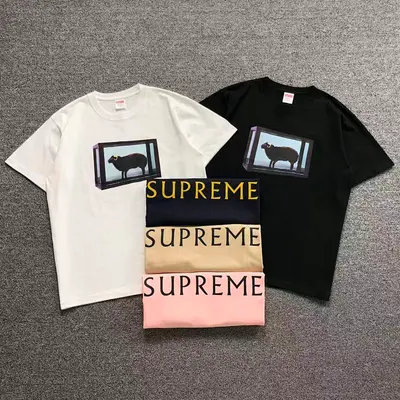 ￥95 S⭐⭐R⭐⭐E T-SHIRT 123122002（im 170cm 60kg i wear size M in the phot）